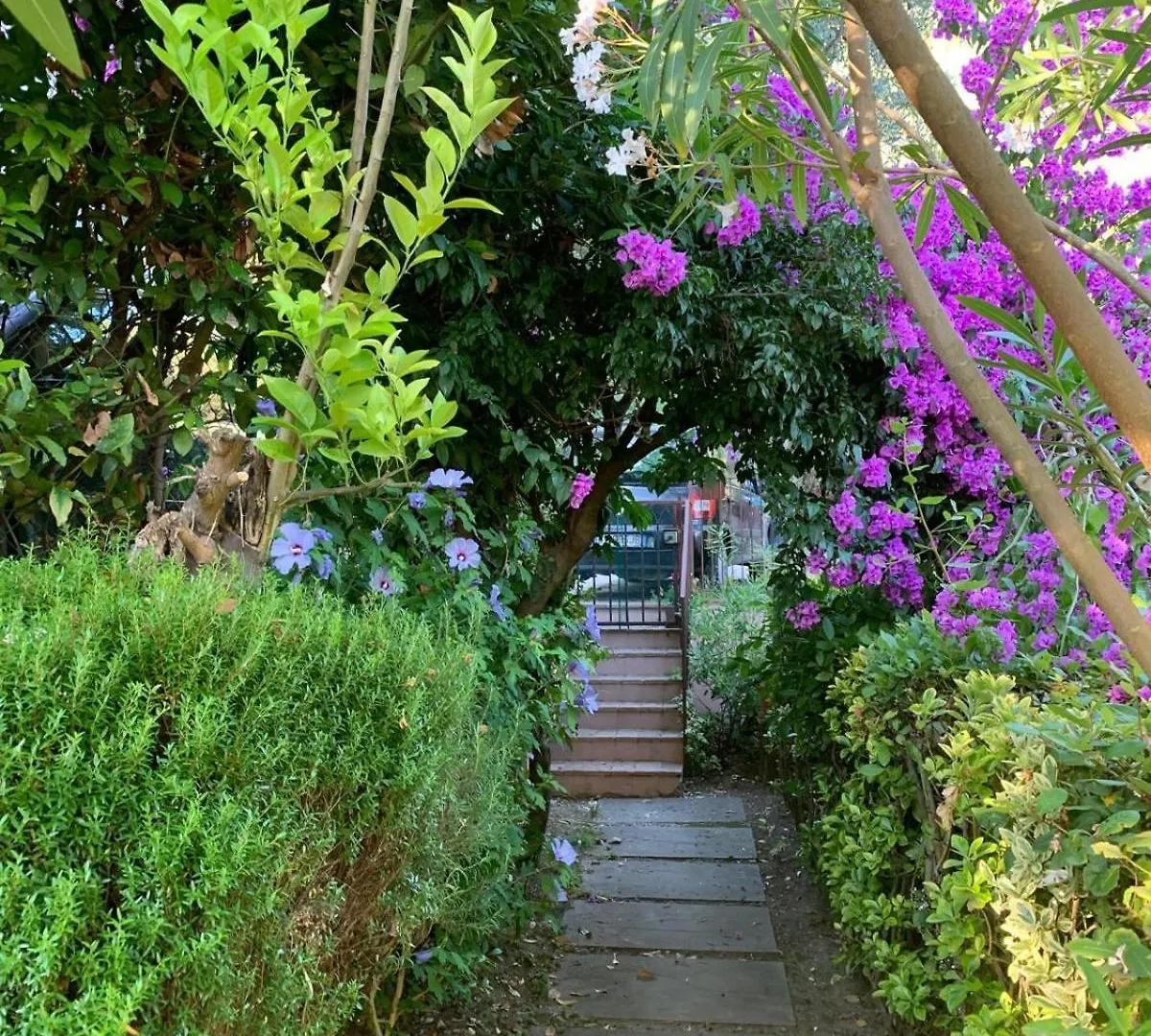 Il Grillo Sull'Olivo Villa Camaiore Holiday home